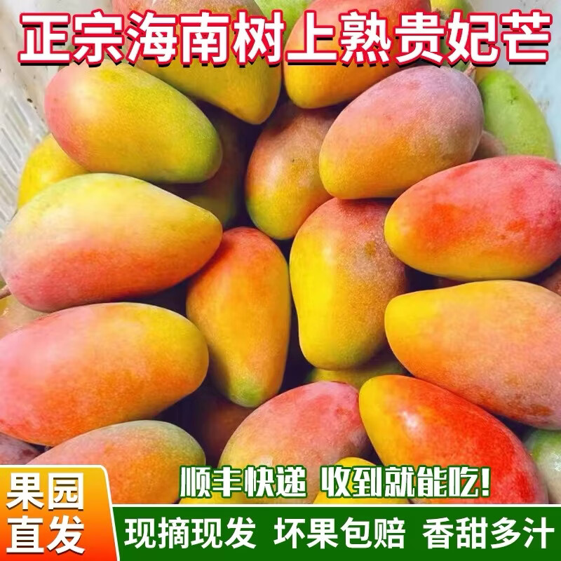 海南三亚树上熟贵妃芒果当季新鲜大果孕妇水果高档礼盒装包邮 贵妃芒 8斤装精选大果【顺丰礼盒-单果5两以上】