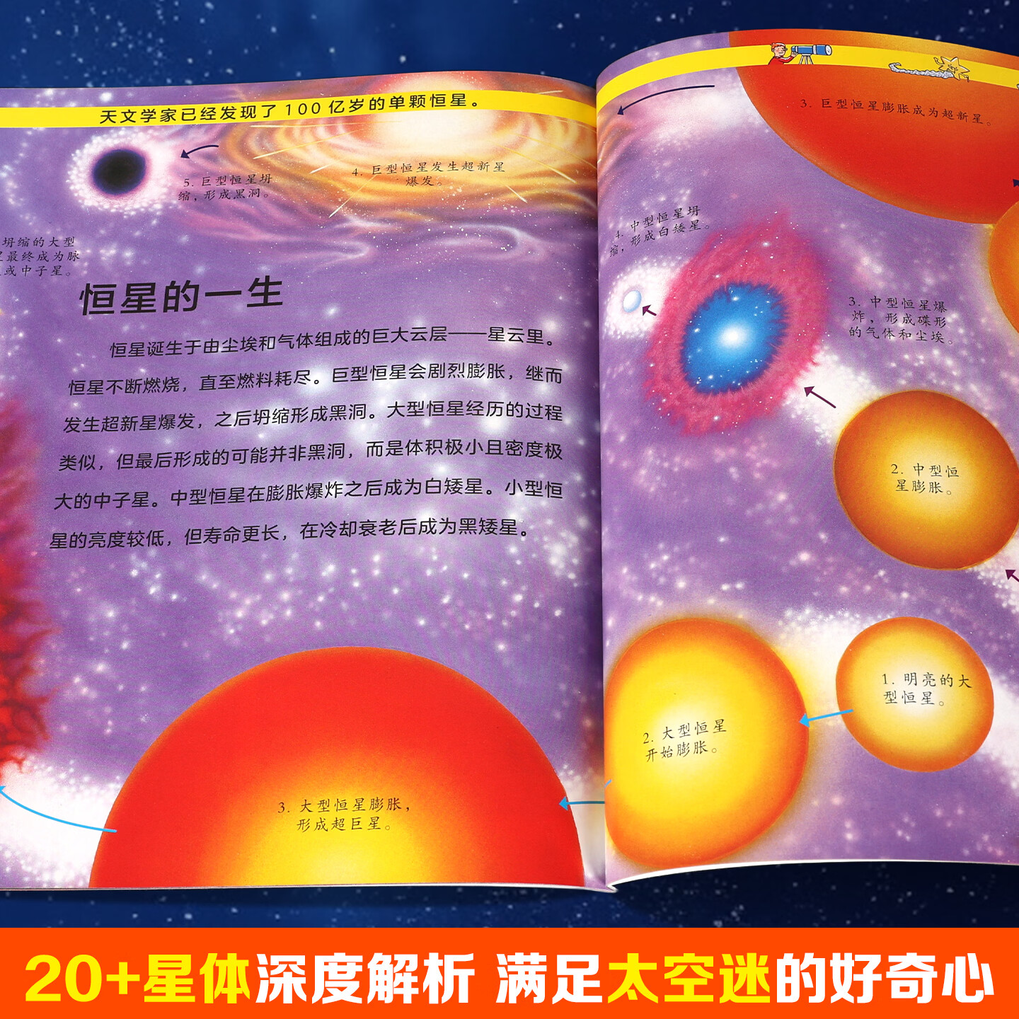 海洋生命百科全书全套4册儿童6-9岁10小学生二三四五六年级课外阅读科普绘本书籍揭秘海底世界生物大百科读物 太空百科全书（全4册）