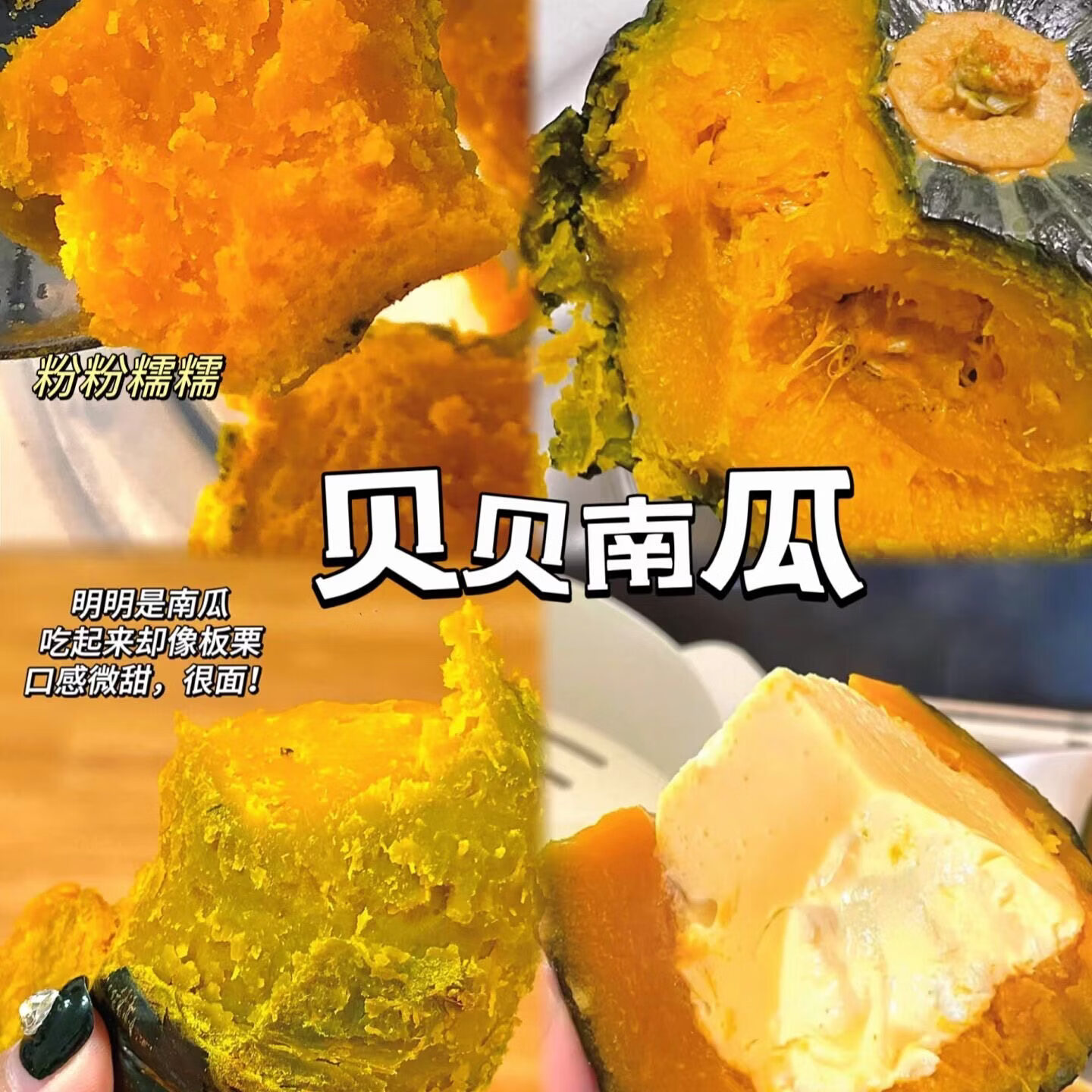 正宗贝贝南瓜 粉糯香甜 新鲜蔬菜 正宗贝贝南瓜（3-7个大小随机） 4.5斤