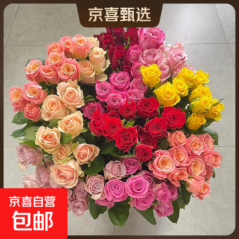 【方德玫瑰】云南鲜花基地直发玫瑰花鲜切38妇女节女神节生日礼物 方德35-40cm随机玫瑰10支