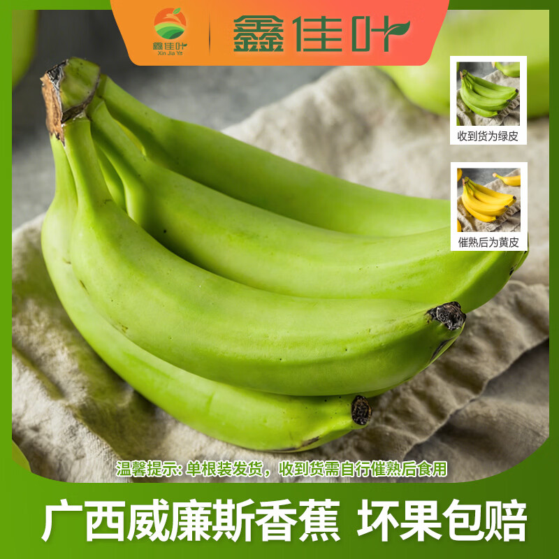 鑫佳叶广西威廉斯香蕉 单根装（需催熟） 净重4.5斤 单果100g+（单根装 收到需催熟）