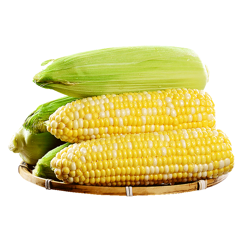 ���� ���Ͻ���ˮ�������� 3��װ ����300g+ Դͷֱ�� 17.9Ԫ