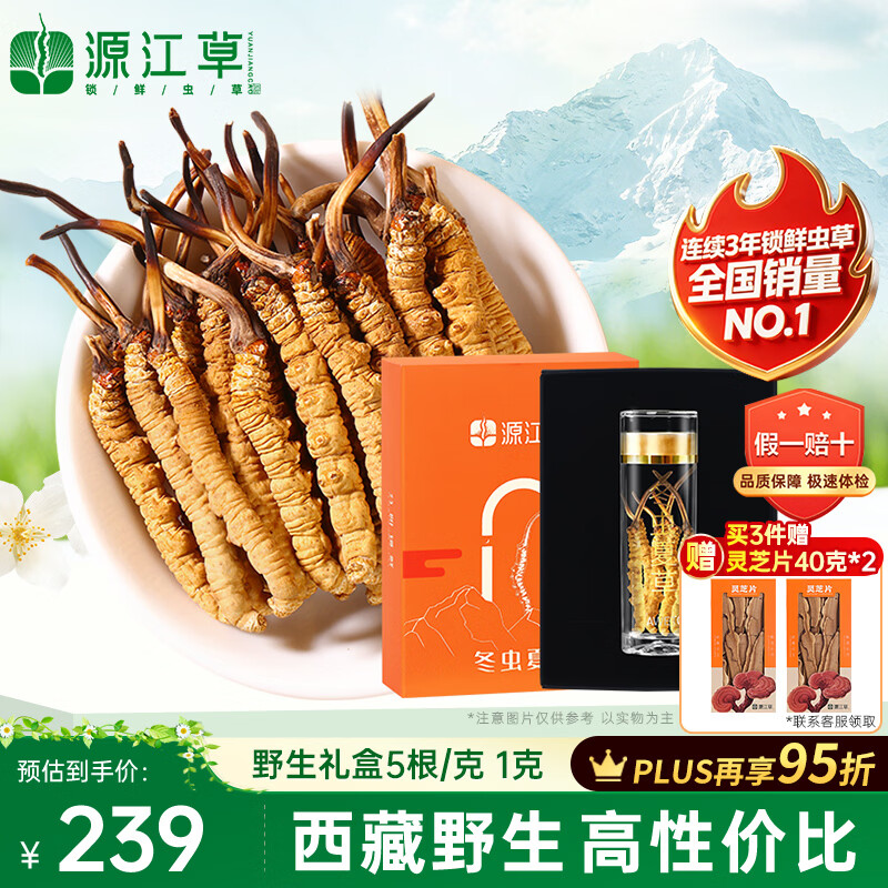 源江草冬虫夏草野生那曲虫草 5根/克 1克 西藏高海拔礼盒滋补品