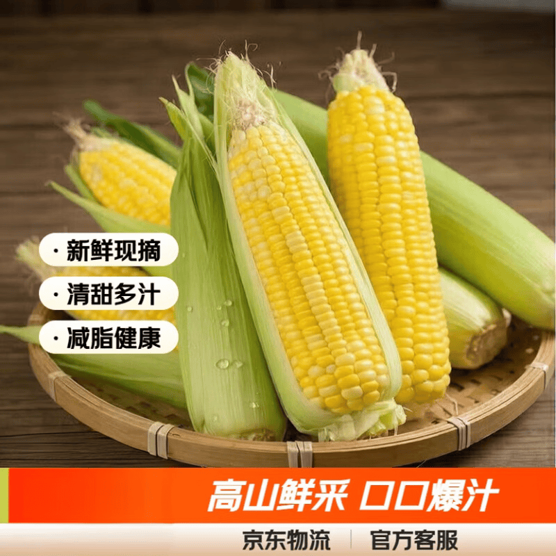 新鲜太阳花水果玉米甜玉米新鲜现摘多汁脆甜早餐减脂营养新鲜蔬菜 水果玉米三斤装带箱