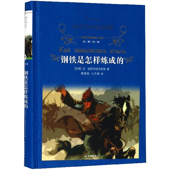钢铁是怎样炼成的(精)/经典译林