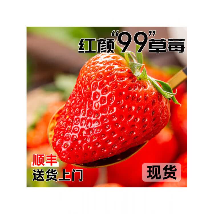正宗红颜奶油草莓99红颜牛奶大奶油草莓新鲜当季水果整箱顺丰 中小果(单果15-20g)尝鲜试吃 2斤