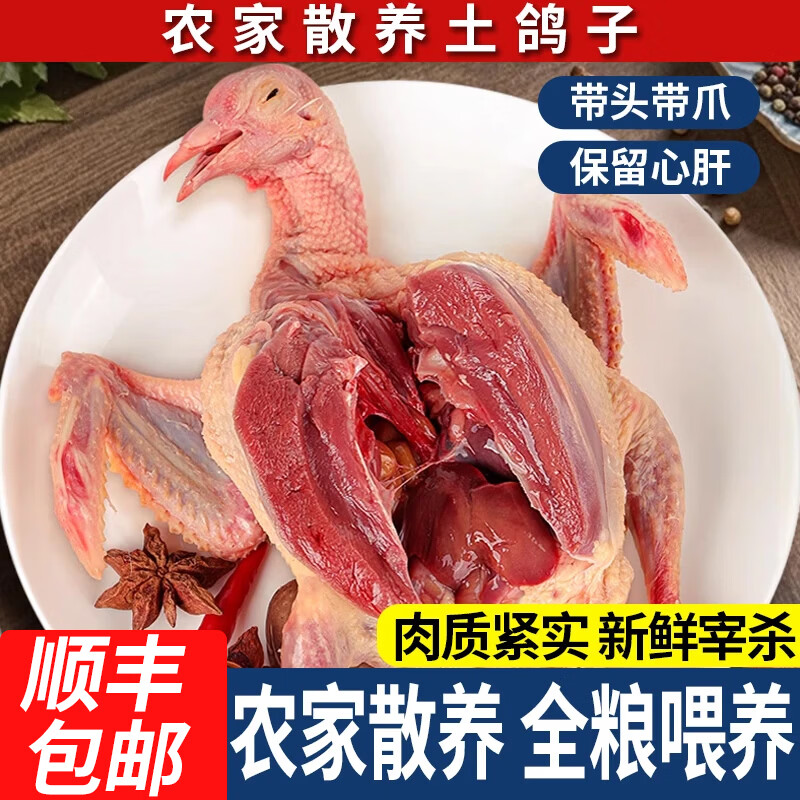 王氏正德乳鸽生鲜新鲜鸽子肉农家散养土鸽老鸽子新鲜冷冻鸽子煲汤烧烤食材 净重900g (3只乳鸽 单只6两）送料包