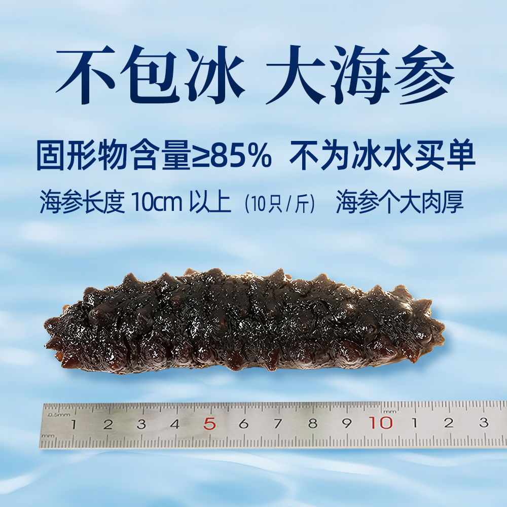 泊静野生即食海参 不包冰大个头独立包装开袋鲜食深海冰刺参 肉厚营养 1500g（33-45只）海参多