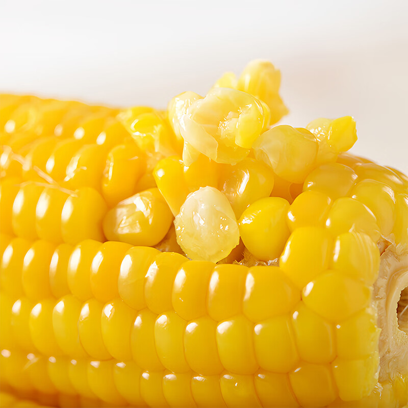 东北黄糯玉米香甜玉米棒加热即食代餐软糯香甜糯玉米 东北黄糯玉米180-220g*8根