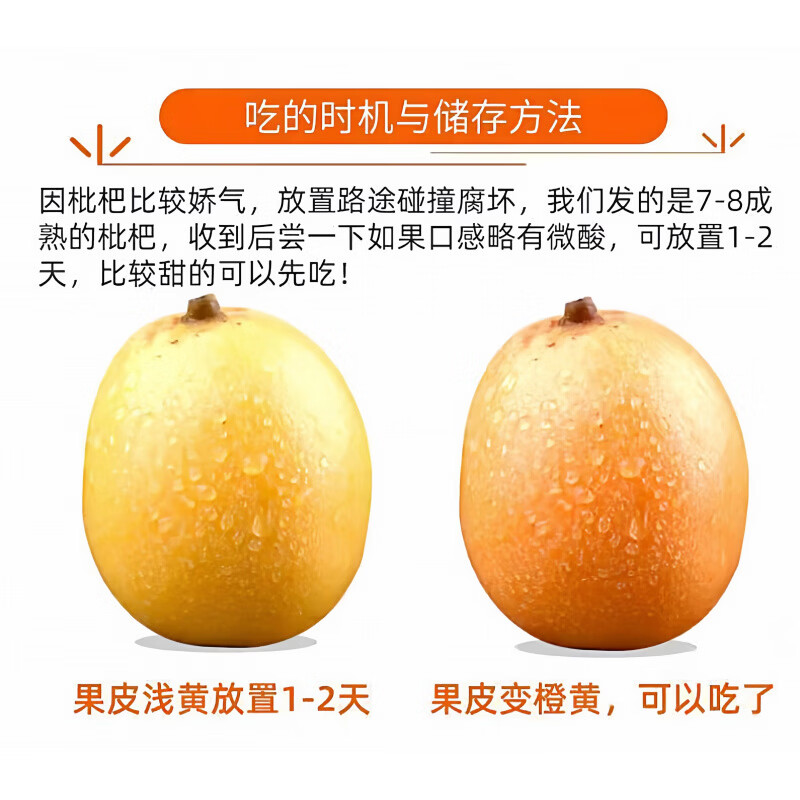 枇杷水果礼盒正宗福建莆田书峰五星大果当季新鲜纯甜高山琵琶整箱 5斤礼盒【净重4.5斤 SSS+级果王】 30年老树【京东/顺丰-多地次日达】