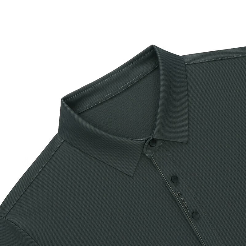 罗蒙（ROMON）长袖t恤男秋季新款中青年时尚男士翻领打底T恤衫 黑色 L 175【建议体重120-130斤左右】