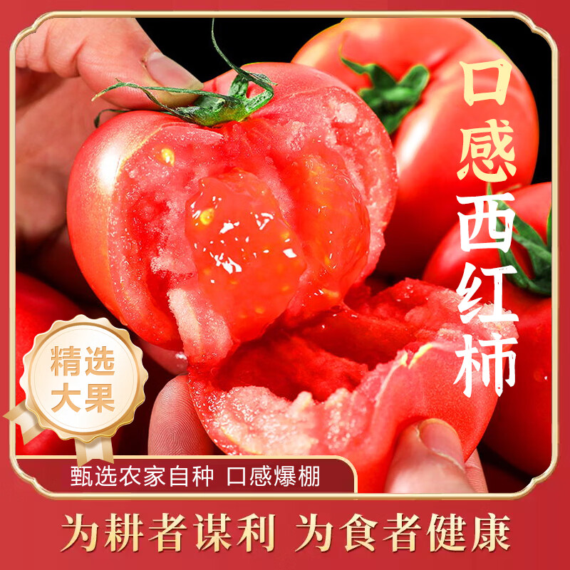 莎凰新鲜自然熟沙瓤西红柿 豫艺优五口感沙瓤番茄 4.5斤 生鲜属于消耗品上线浮动50g