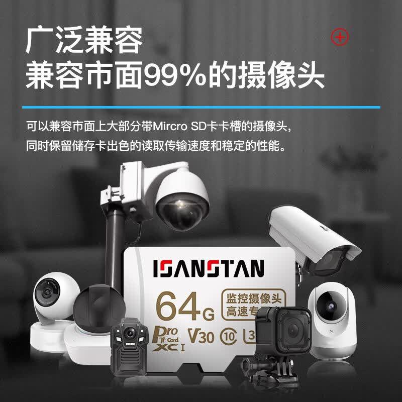 ISANSTAN存储卡适用海雀智能摄像头内存卡128g高速u3专用tf卡Class10循环录制fat32格式Micro sd卡 32G【监控摄像头专用高速内存卡】送读卡器 TF(Micro SD)卡 + TF读卡器