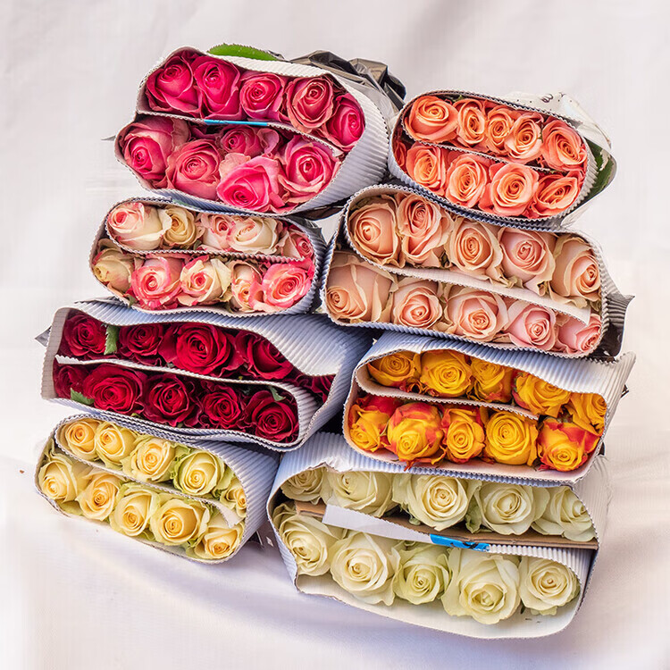 七流婉云南昆明鲜花基地直发红玫瑰花水养百合花束鲜切花向日葵花 顺丰随机玫瑰3扎60枝