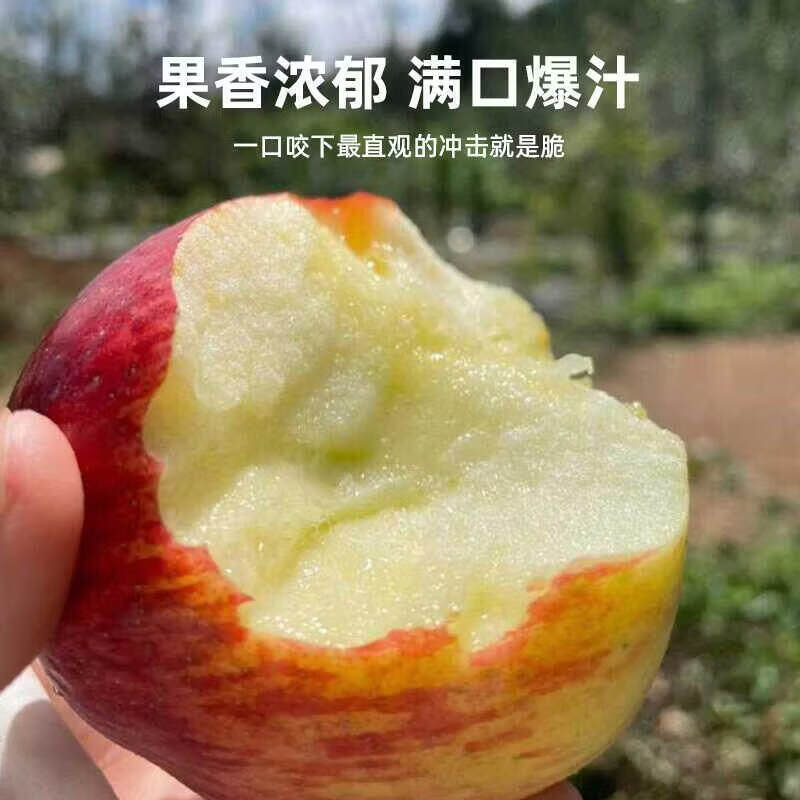 享佳恬正宗云南昭通樱桃小苹果新鲜脆甜冰糖心迷你苹果红富士整箱 净重3斤双网套60mm【新鲜采摘】