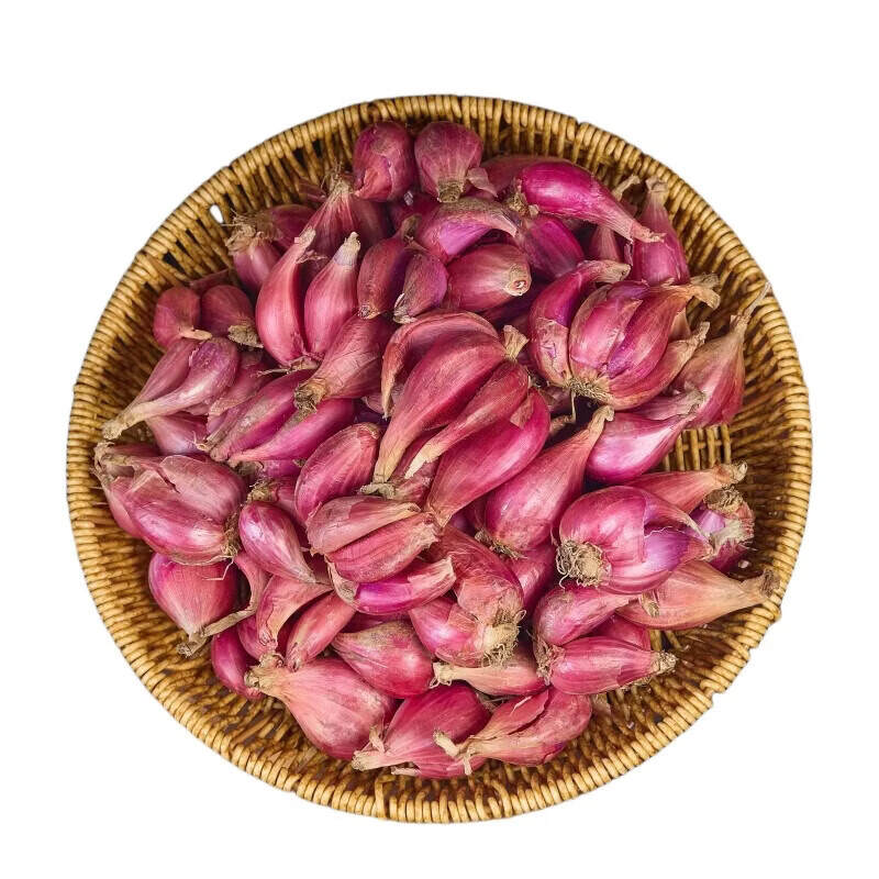 北森南屿四季小香葱种头四川葱种葱种子种籽小葱葱头红葱本地火葱头种批发 红葱头5斤