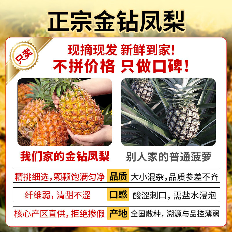 小筑倾橙正宗海南金钻17号凤梨爆甜树上熟当季特产新鲜水果礼盒整箱 精选大果5斤金钻凤梨