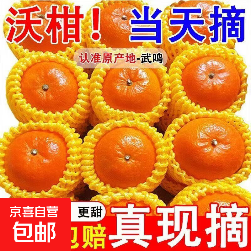 武鸣沃柑一级新鲜斤脆嫩当季水果整箱特级橘子橙子广西武鸣沃柑 带箱5斤（净果4.5斤）60起