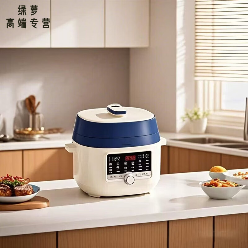 GIOIO日本进口品质伏电压力锅智能高压锅电饭煲家用电饭锅日本小家电器 新款110V5/L电压力锅【单内胆】 1L