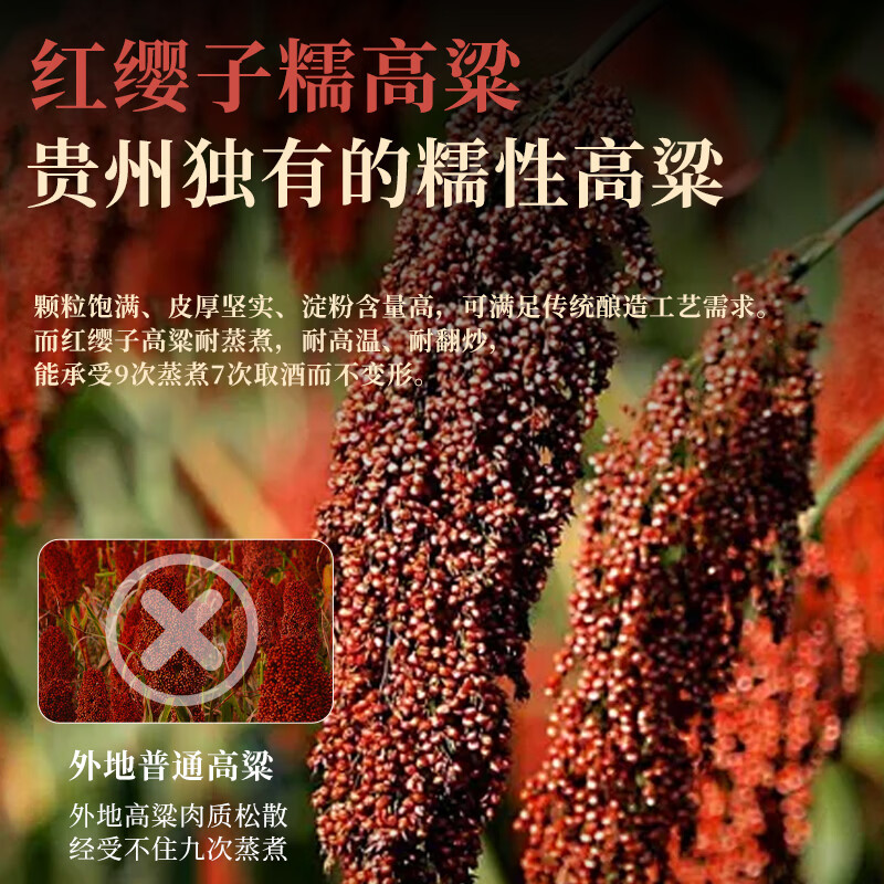 卧龙池酱香型白酒J12 每滴12年以上窖藏 100%大曲坤沙纯粮食酱酒 53%vol 500mL 1瓶