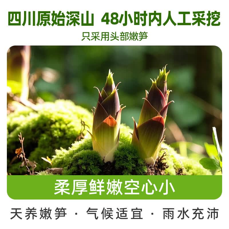 上亭驿产地直发-小笋蛋泡椒脆笋鹌鹑蛋山椒竹笋酸辣办公室零食开袋即食 泡椒笋蛋【1000g】