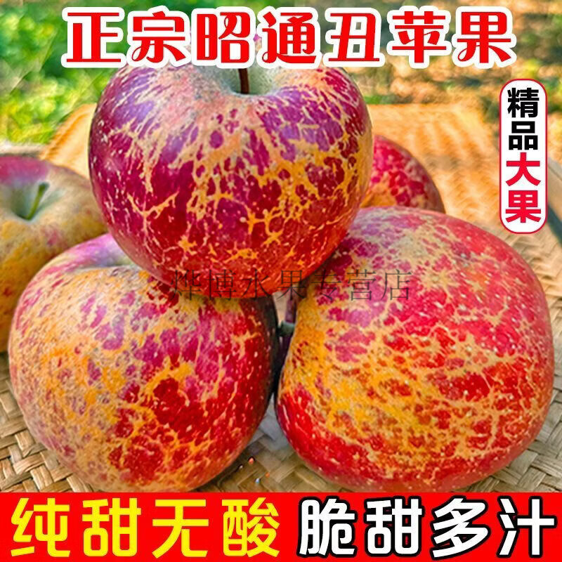 果润客云南昭通丑苹果冰糖心脆甜红富士5斤新鲜整箱 净重 5斤精选大果 【9-12个】脆甜多汁-个头适合