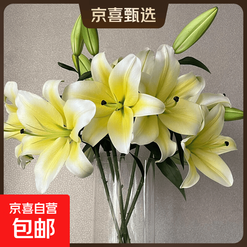 百合鲜切花云南基地直发瓶插水养母亲节520送妈妈  爱人暖心礼物 黄色香水百合20朵