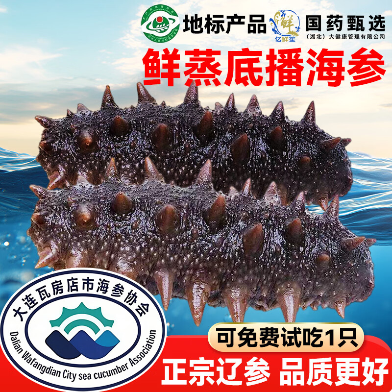 亿鲜笙海参即食大连鲜活野生辽参非干货海参孕妇刺参端午礼盒500g单个装 4-8只装【大号】 3斤装【量大囤货】 京东折扣/优惠券