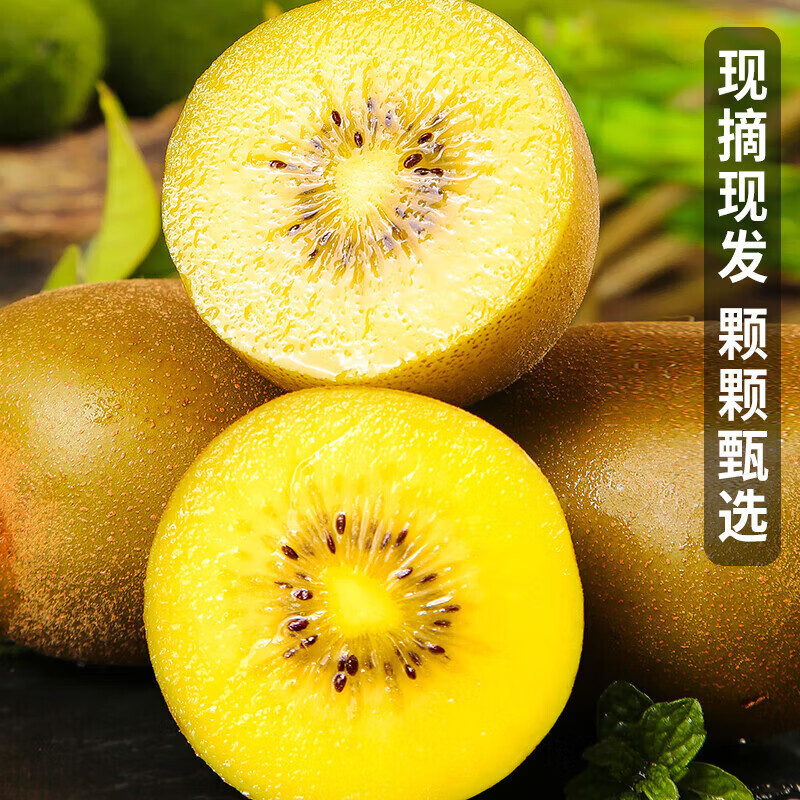酷果汇黄心猕猴桃四川金果黄金奇异果新鲜水果生鲜 15枚中果（单果70-90g）
