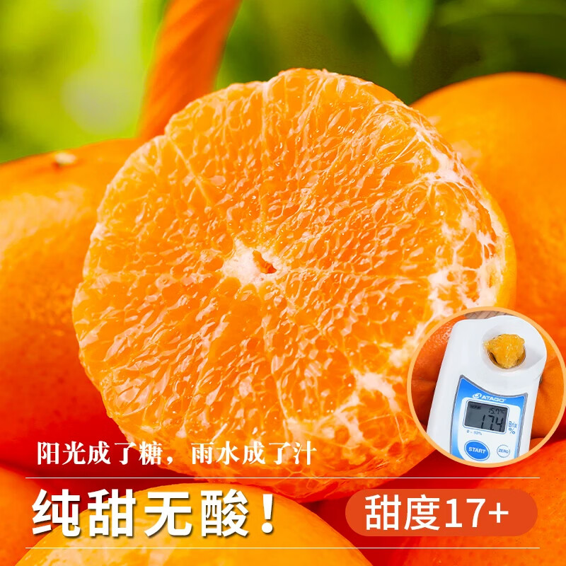 uncle lemon沃柑果园现摘老树甜有籽高山水果新鲜产地直发四川特产水果沃柑 单果（50-85mm）老树果园 高山种植 越大越甜 原生态 整箱10斤果王（净重8.5-9斤，单果80mm以上）