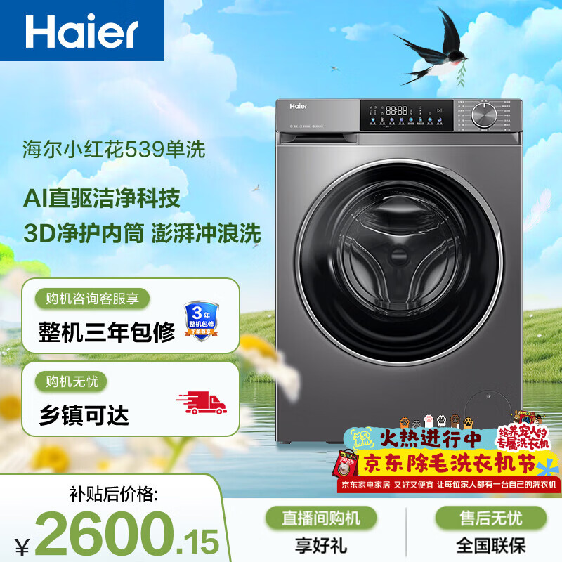 海尔（Haier）小红花 全自动滚筒洗衣机10KG 超薄直驱 冲浪洗 减震降噪 家电京东自营 XQG100-BD539S