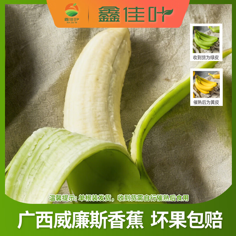 鑫佳叶广西威廉斯香蕉 单根装（需催熟） 净重4.5斤 单果100g+（单根装 收到需催熟）