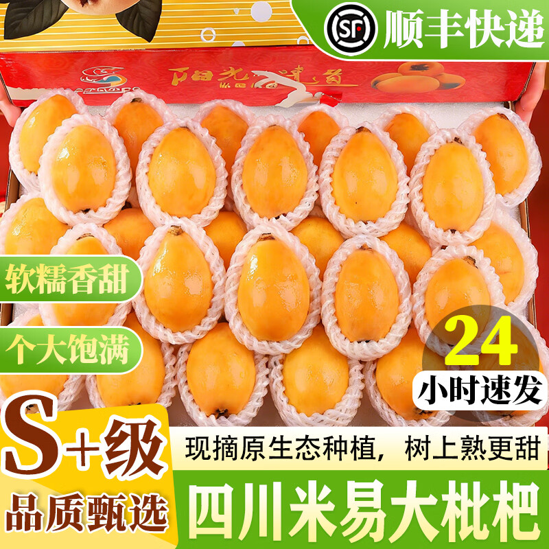 小筑倾橙【顺丰快递】四川米易枇杷鲜果高山甜大枇杷琵琶新鲜孕妇水果礼盒 5斤特大果【单果50g+】