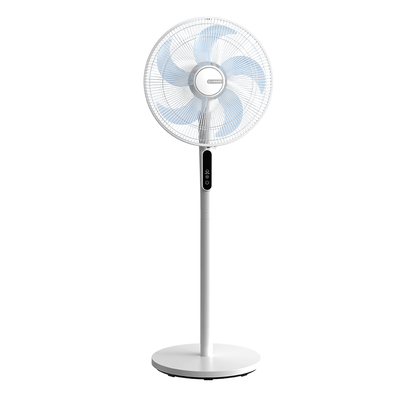 ������ 16��ֱ����ط��� 7Ҷң��ҡͷ ���ؼӴ� 12���������� 239Ԫ