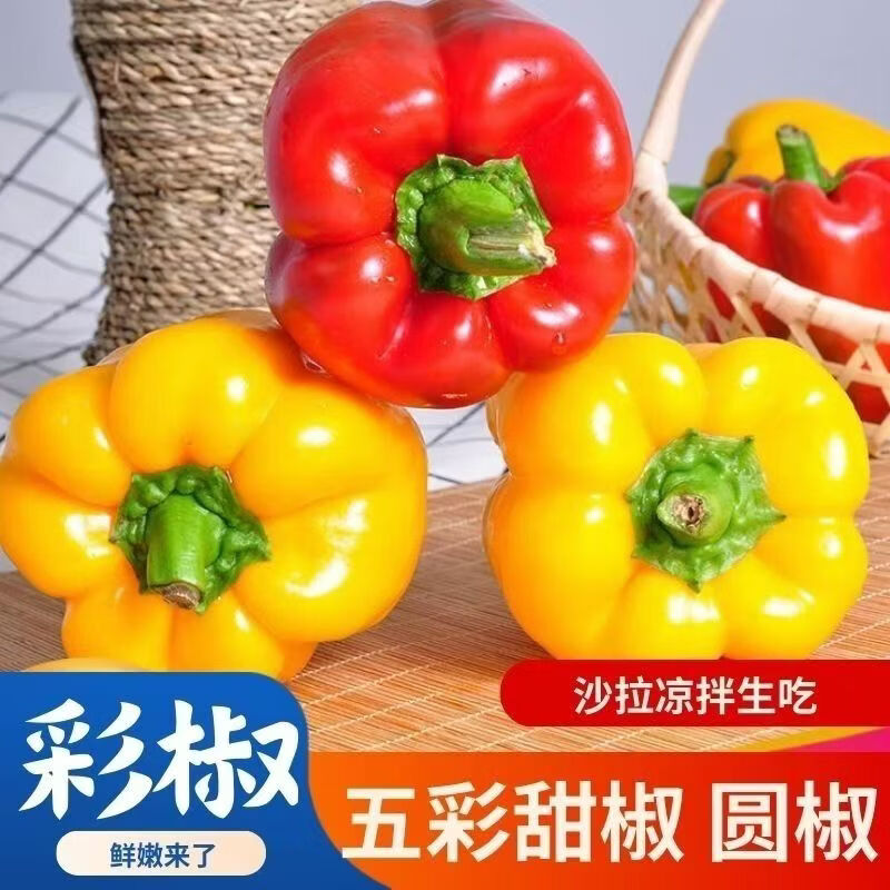山东寿光蔬菜之乡代餐低脂水果彩椒五彩椒原产地直发红黄双拼 带箱2斤红黄