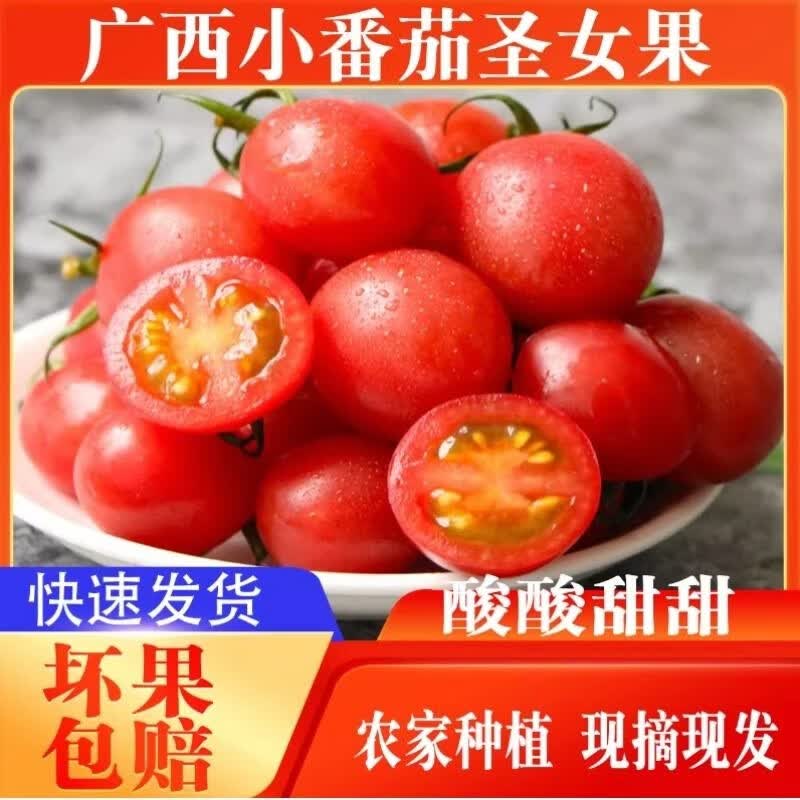 圣女果正宗新鲜小西红柿小番茄孕妇应季现摘水果蔬菜生吃非千禧果 3斤 精选小果丨泡沫箱发货丨单果5克起