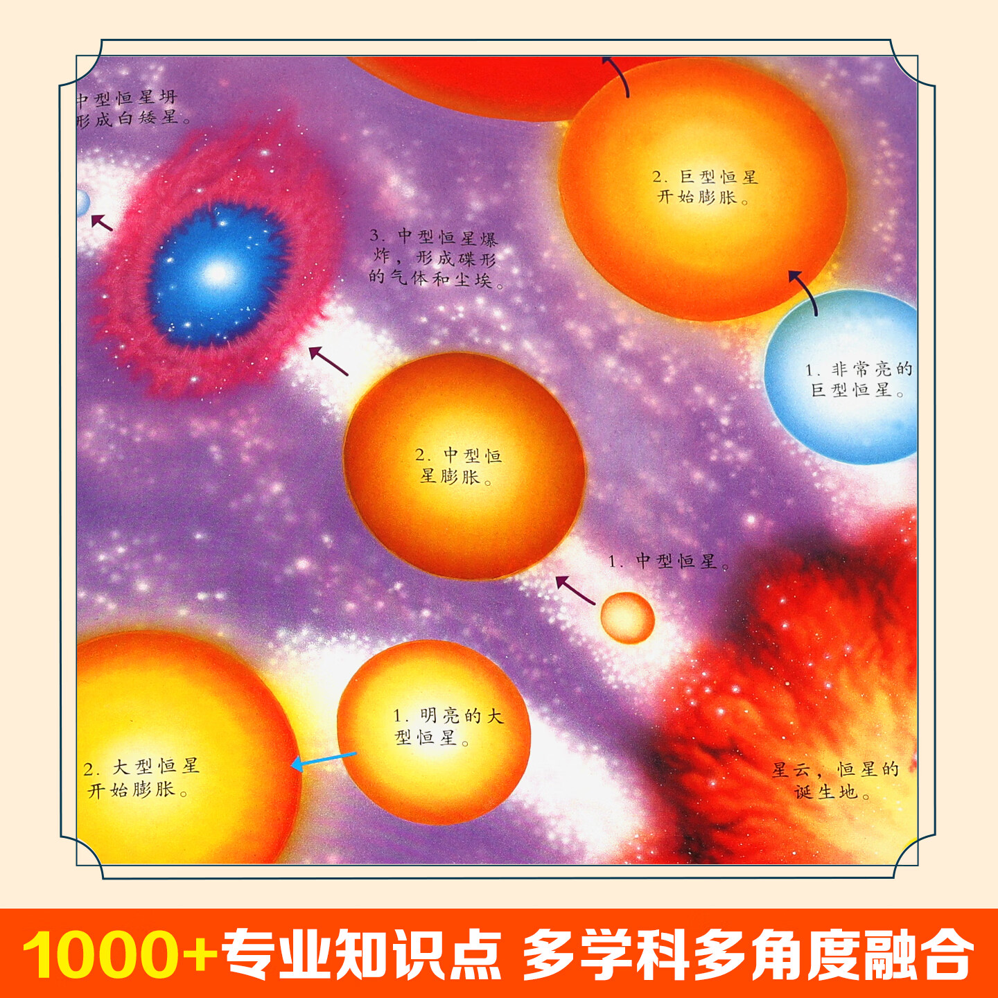 海洋生命百科全书全套4册儿童6-9岁10小学生二三四五六年级课外阅读科普绘本书籍揭秘海底世界生物大百科读物 太空百科全书（全4册）