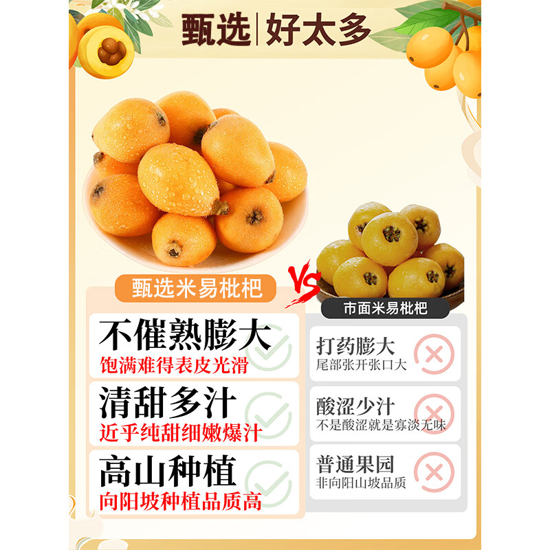 小筑倾橙【顺丰快递】四川米易枇杷鲜果高山甜大枇杷琵琶新鲜孕妇水果礼盒 5斤特大果【单果50g+】