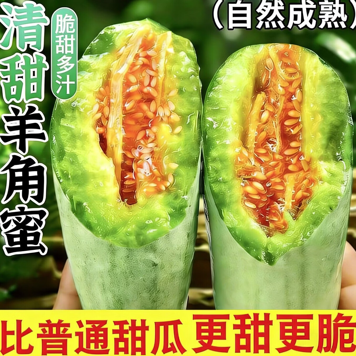 果领队山东正宗头茬羊角蜜【当天发货】大甜瓜脆甜多汁蜜瓜孕妇时令水果 3斤【精品果|单果200g+】净重2.5斤