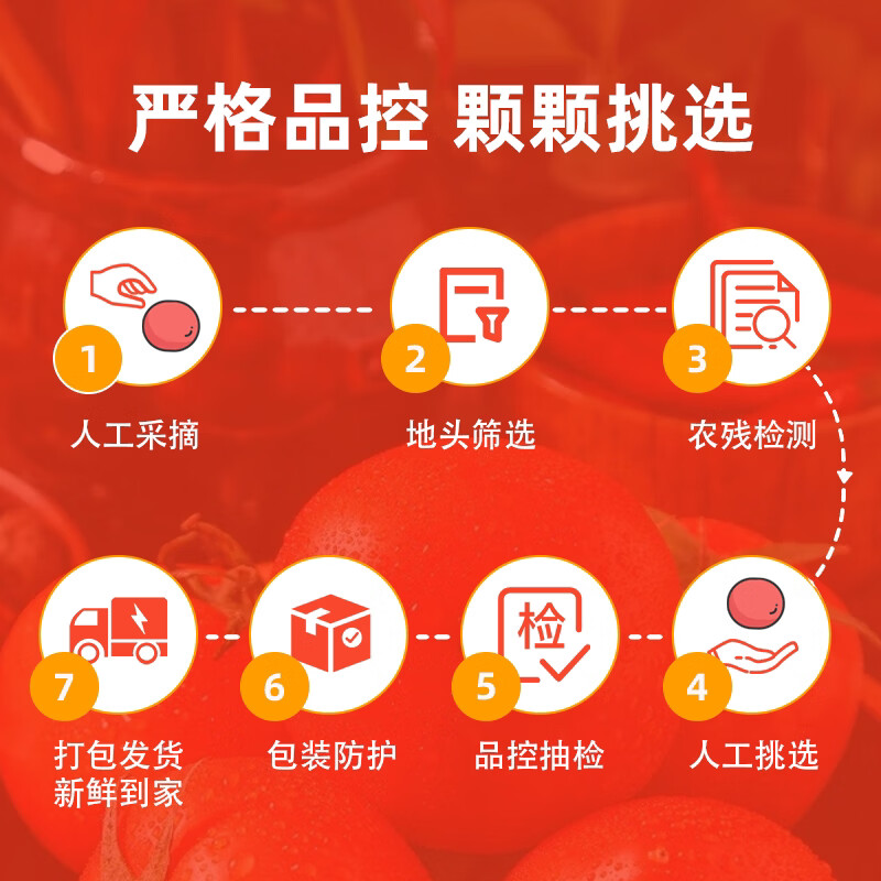 莎凰新鲜自然熟沙瓤西红柿 豫艺优五口感沙瓤番茄 4.5斤 生鲜属于消耗品上线浮动50g