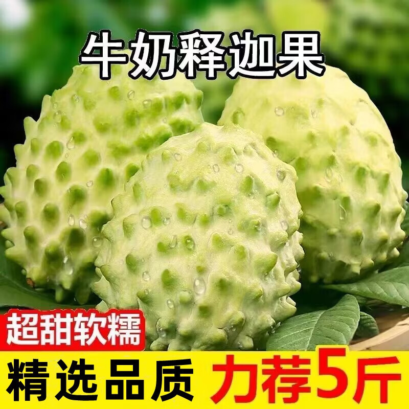 李享食丰番荔枝/释迦