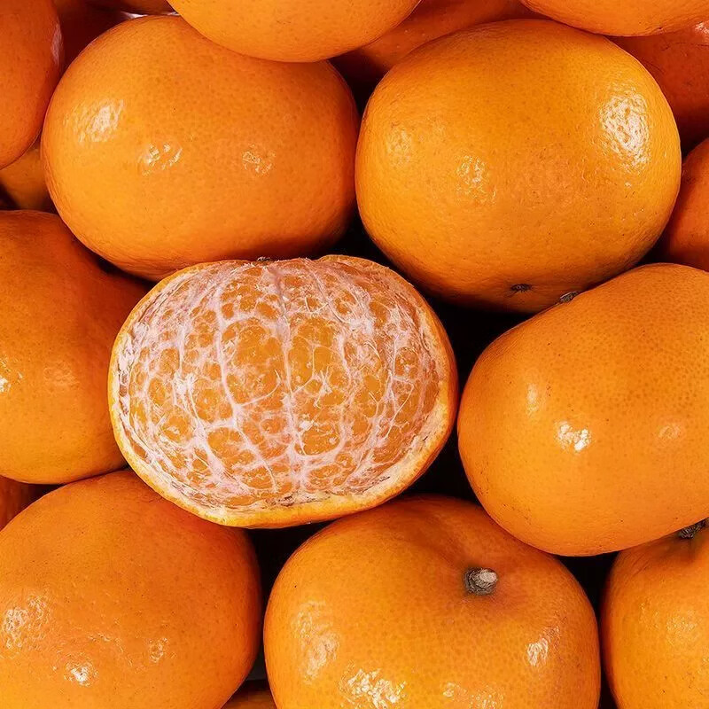 uncle lemon高山沃柑新鲜薄皮四川特产当季柑橘子现摘果园现摘甜多汁产地直发 【大果】果径60-70mm，头茬，试吃尝鲜 带箱9斤