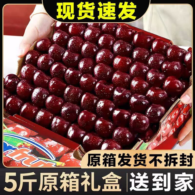 现货】智利车厘子大樱桃应季孕妇水果整箱新鲜水果礼盒装 1kg(净重) 净重【5斤JJJ爆汁特大果】只发净重+原箱不拆