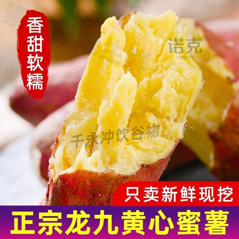 板栗蜜薯新鲜红薯沙地糖心地瓜非山东烟薯番薯25号烤红薯专 精选中果带箱番薯9-10斤