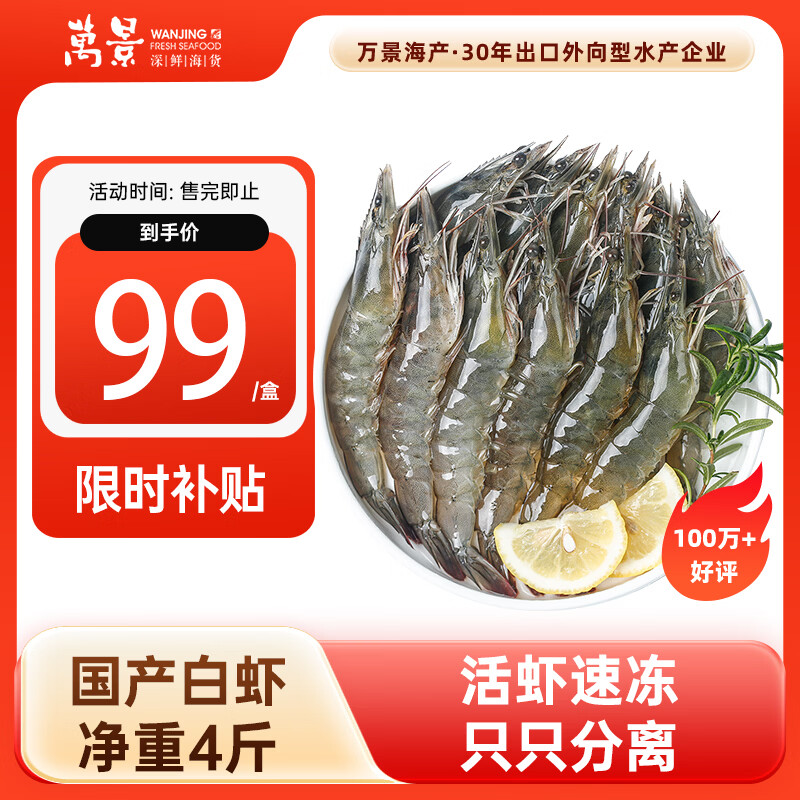 万景国产大虾 盐冻北海白虾(大号) 80-100只净重4斤 聚餐 海鲜
