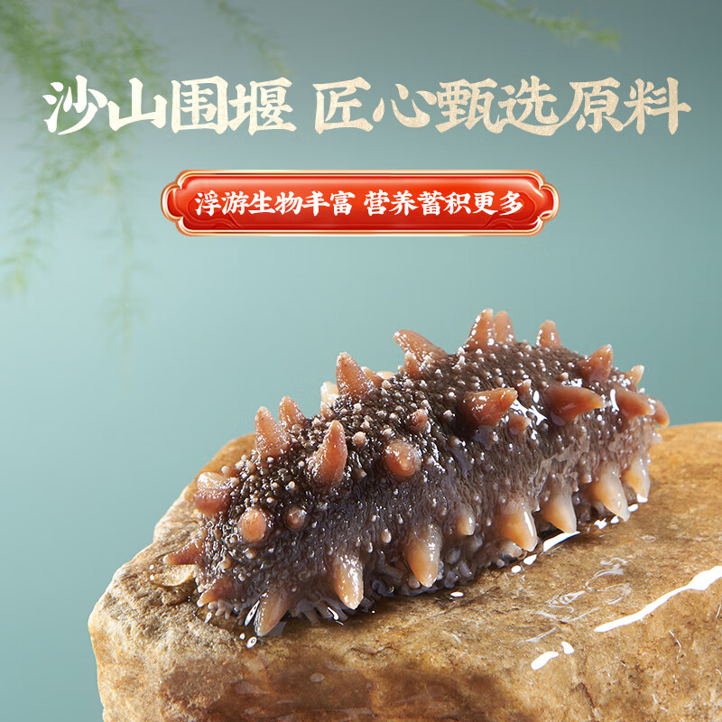 大彼得湾大连辽刺参开袋即食海参海鲜水产高营养固形物≥80%礼盒 三斤18-30根（3斤即食）