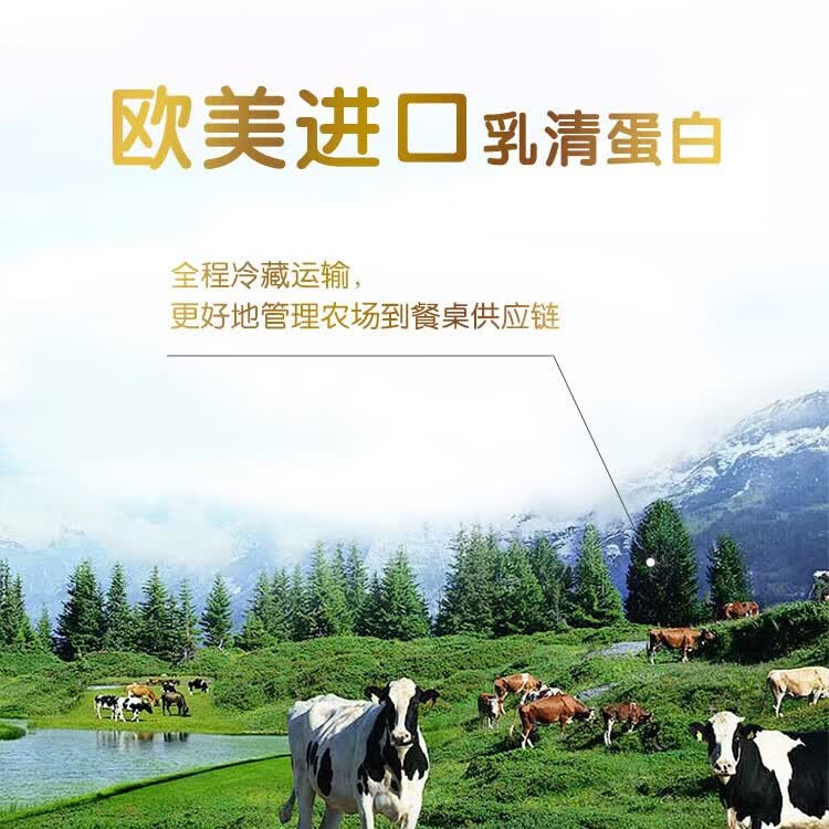 安琪纽特安琪酵母蛋白粉90%植物酵母乳清蛋白粉成人父亲节中老年人营养品 酵母蛋白粉 400g*1罐 【拍2得钙片+B族】