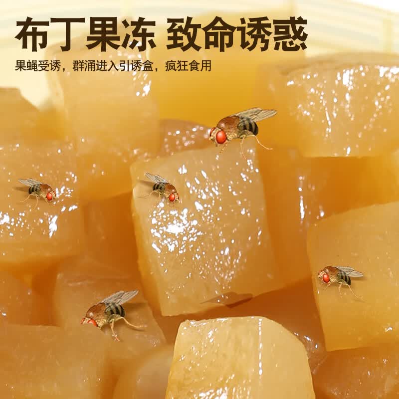 Global warehouse全球仓呋虫胺杀虫饵剂 家用灭苍蝇果蝇小飞虫 杀蝇杀虫诱捕器1个 【1盒装】强效引诱 无害灭蝇