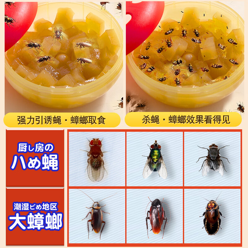 Global warehouse全球仓呋虫胺杀虫饵剂 家用灭苍蝇果蝇小飞虫 杀蝇杀虫诱捕器1个 【1盒装】强效引诱 无害灭蝇