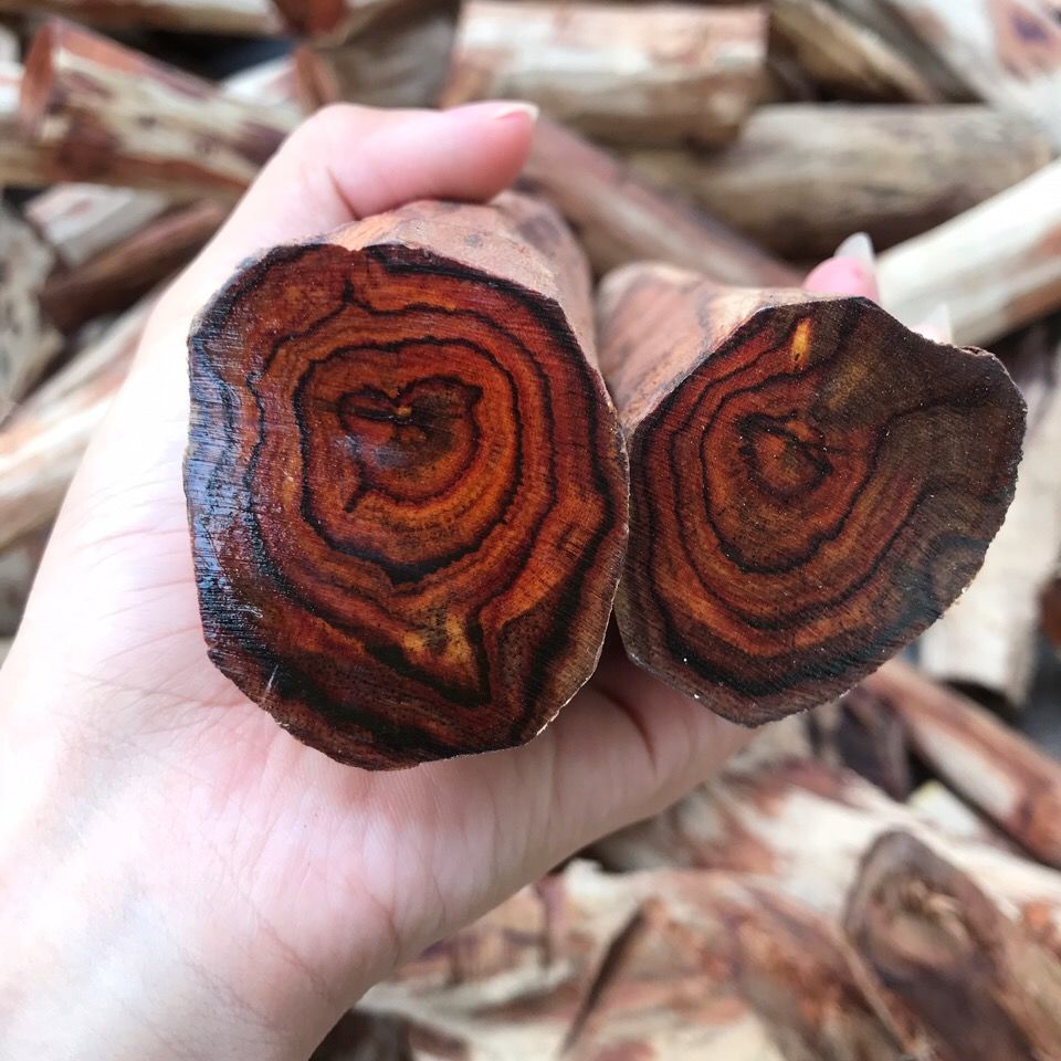 黄花梨木料海南原木料 海黄紫油梨 根料雕刻手把件珠子料脸sn2364 海